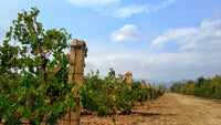 Legacy Peak Wine Dinner at Hoi King Heen (Available only on 18 June 2026)