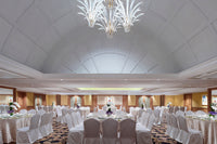 Summer Wedding Showcase